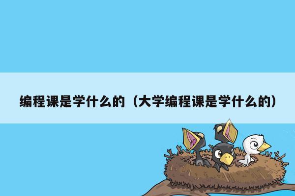 编程课是学什么的（大学编程课是学什么的）