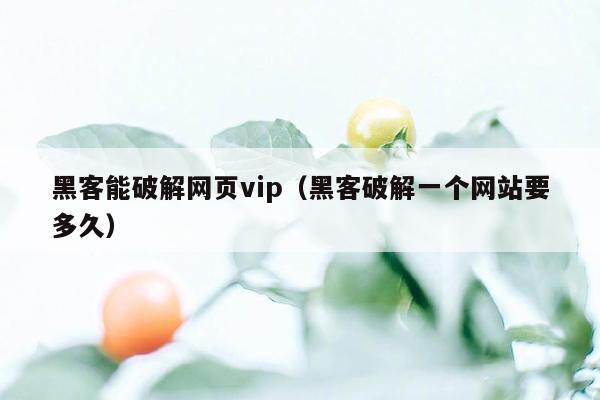 黑客能破解网页vip（黑客破解一个网站要多久）