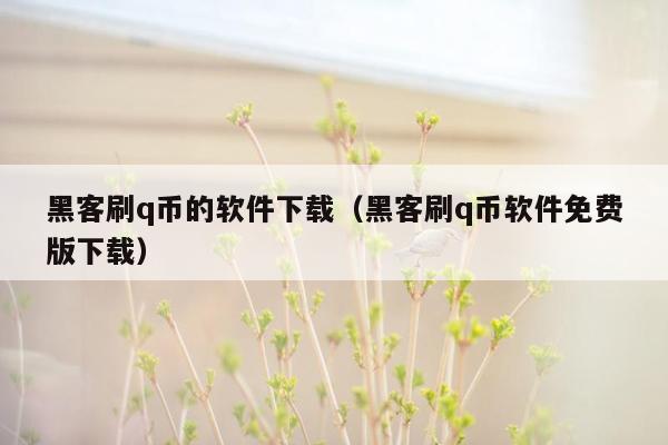 黑客刷q币的软件下载（黑客刷q币软件免费版下载）