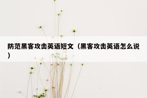 防范黑客攻击英语短文（黑客攻击英语怎么说）