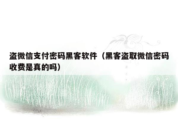 盗微信支付密码黑客软件（黑客盗取微信密码收费是真的吗）