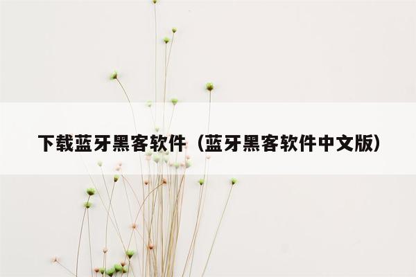 下载蓝牙黑客软件（蓝牙黑客软件中文版）