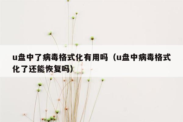 u盘中了病毒格式化有用吗（u盘中病毒格式化了还能恢复吗）