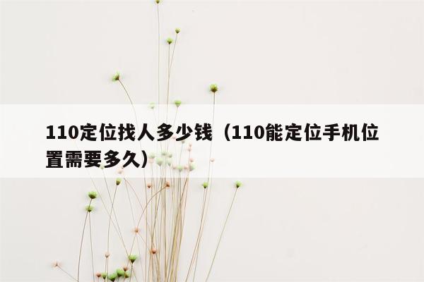 110定位找人多少钱（110能定位手机位置需要多久）