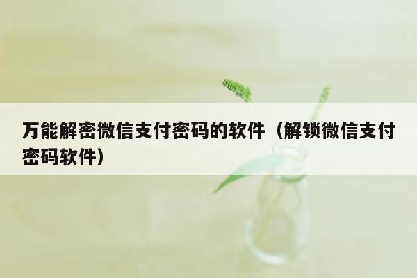 万能解密微信支付密码的软件（解锁微信支付密码软件）