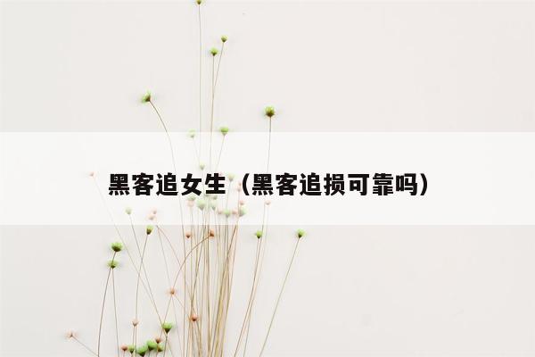 黑客追女生（黑客追损可靠吗）