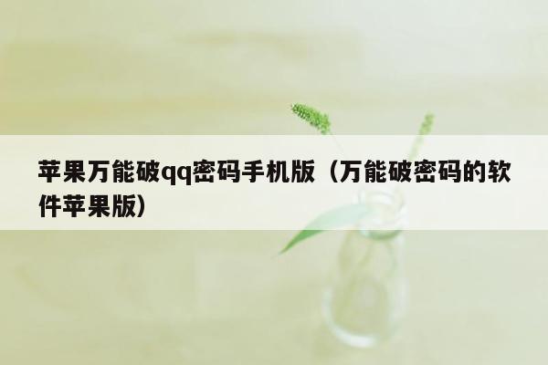 苹果万能破qq密码手机版（万能破密码的软件苹果版）