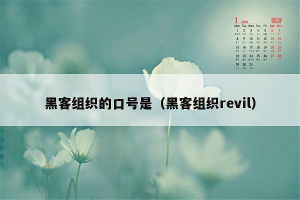 黑客组织的口号是（黑客组织revil）