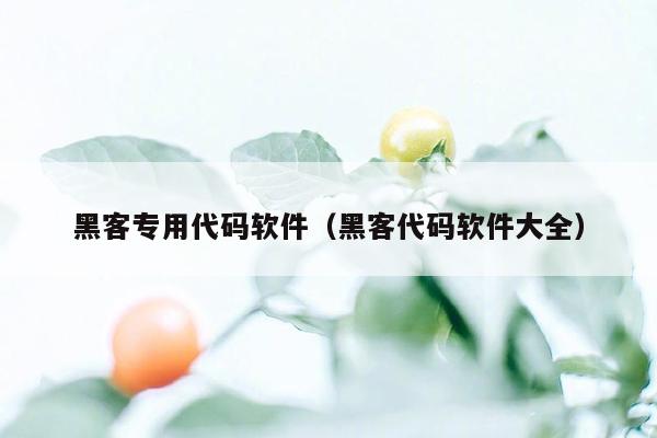 黑客专用代码软件（黑客代码软件大全）