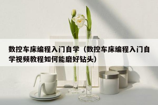 数控车床编程入门自学（数控车床编程入门自学视频教程如何能磨好钻头）