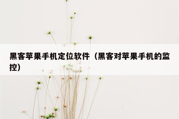 黑客苹果手机定位软件（黑客对苹果手机的监控）