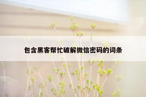 包含黑客帮忙破解微信密码的词条