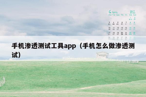 手机渗透测试工具app（手机怎么做渗透测试）