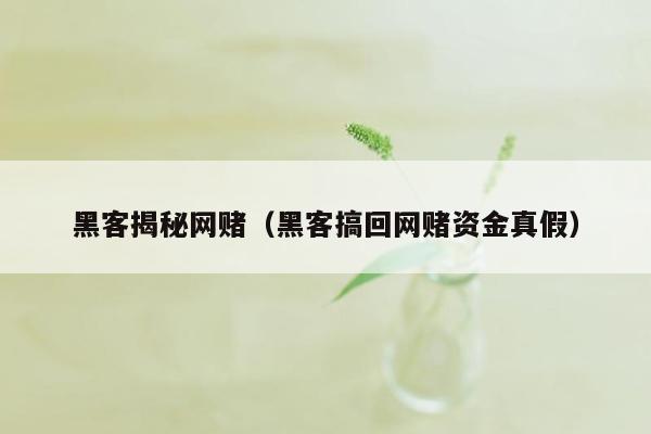 黑客揭秘网赌（黑客搞回网赌资金真假）