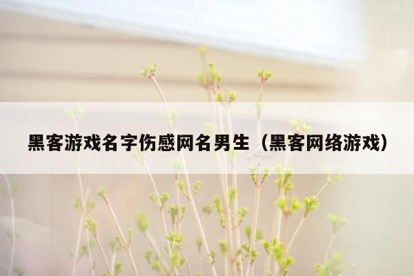 黑客游戏名字伤感网名男生（黑客网络游戏）