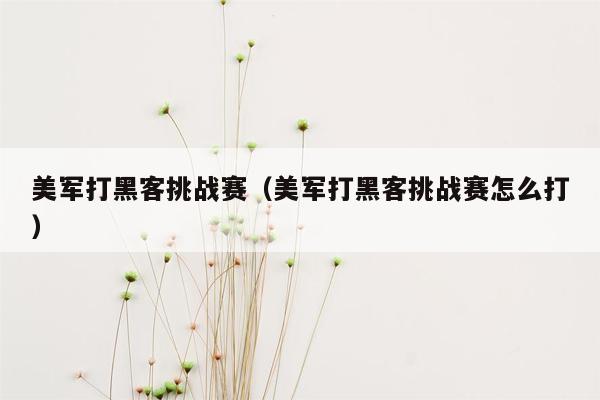 美军打黑客挑战赛（美军打黑客挑战赛怎么打）