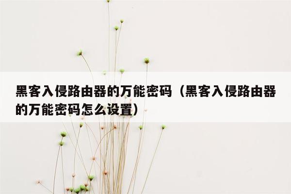 黑客入侵路由器的万能密码（黑客入侵路由器的万能密码怎么设置）