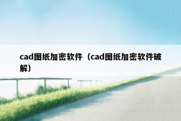 cad图纸加密软件（cad图纸加密软件破解）