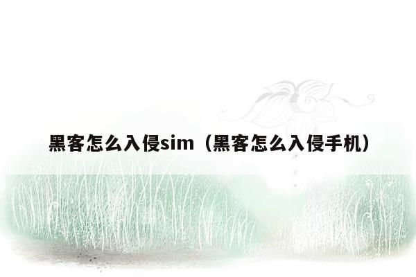 黑客怎么入侵sim（黑客怎么入侵手机）