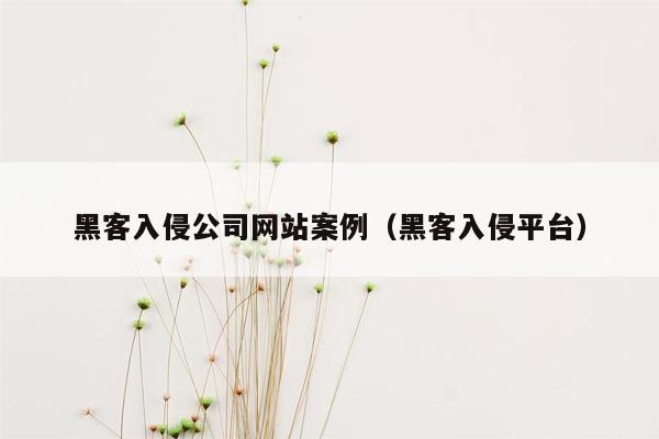 黑客入侵公司网站案例（黑客入侵平台）