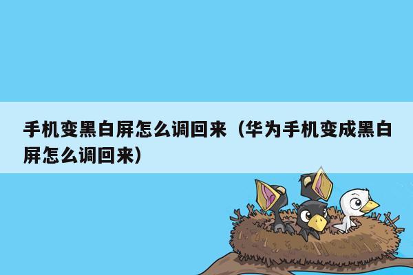 手机变黑白屏怎么调回来（华为手机变成黑白屏怎么调回来）