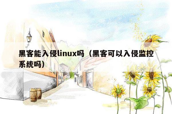 黑客能入侵linux吗（黑客可以入侵监控系统吗）