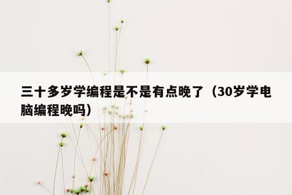 三十多岁学编程是不是有点晚了（30岁学电脑编程晚吗）