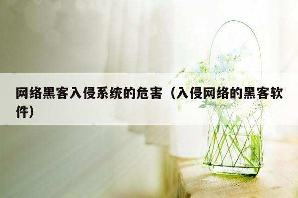 网络黑客入侵系统的危害（入侵网络的黑客软件）