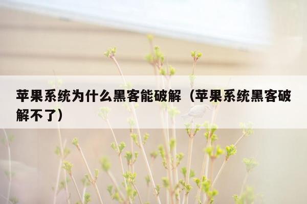 苹果系统为什么黑客能破解（苹果系统黑客破解不了）