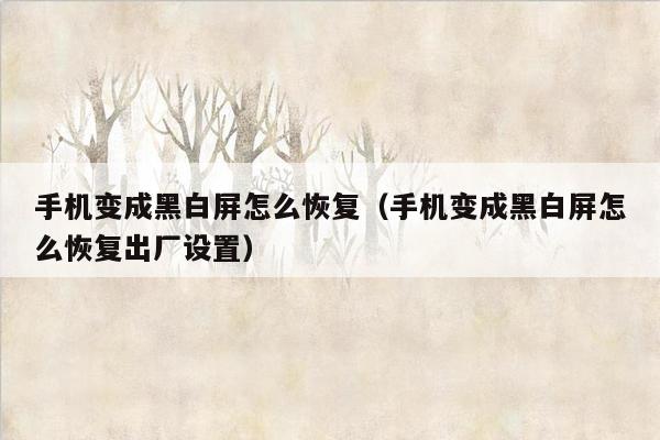 手机变成黑白屏怎么恢复（手机变成黑白屏怎么恢复出厂设置）