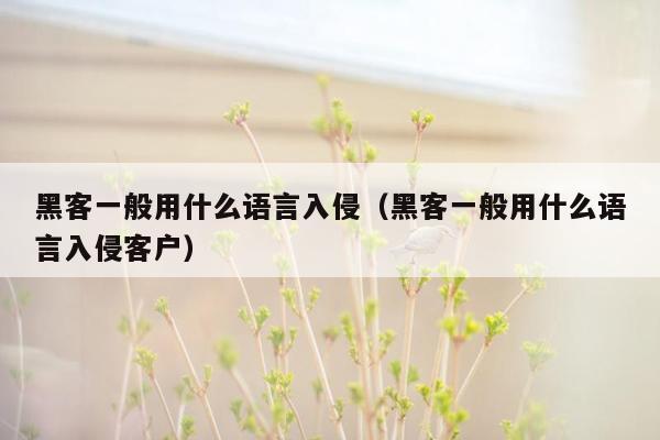 黑客一般用什么语言入侵（黑客一般用什么语言入侵客户）