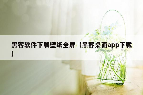 黑客软件下载壁纸全屏（黑客桌面app下载）