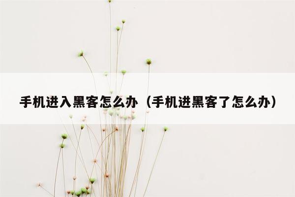 手机进入黑客怎么办（手机进黑客了怎么办）